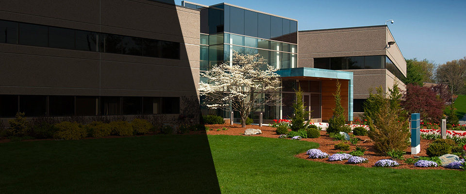 Margate City Landscapers