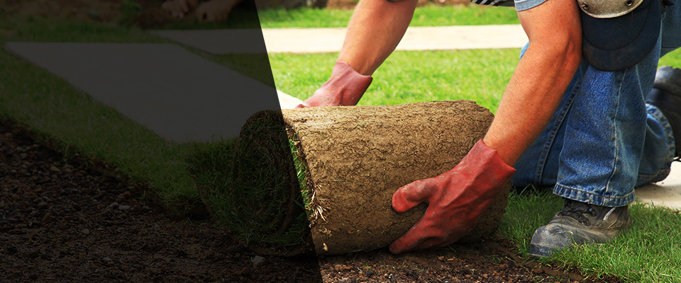 Margate City Landscapers